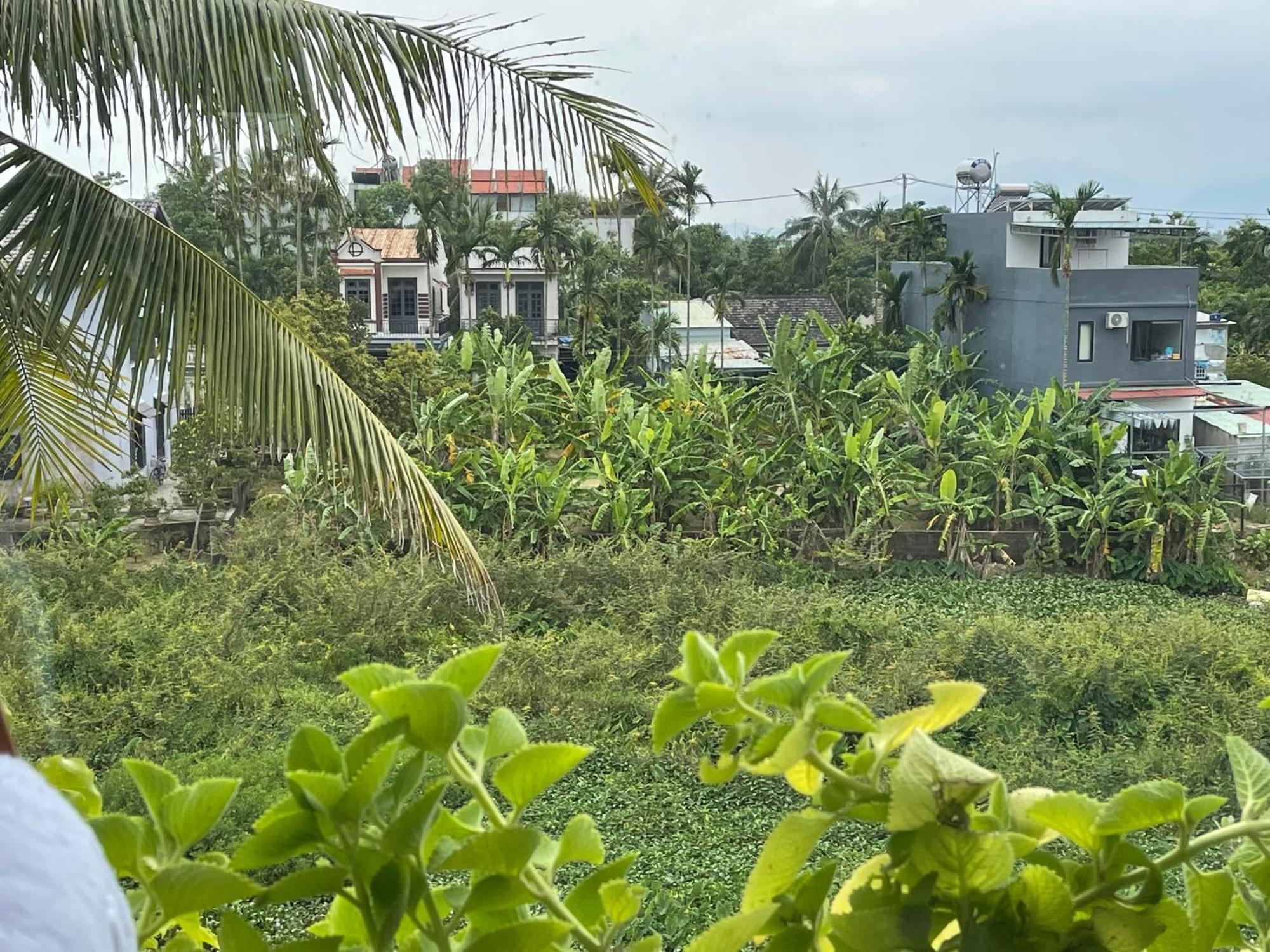 Hoi An Ti Hon House Villa Exteriör bild